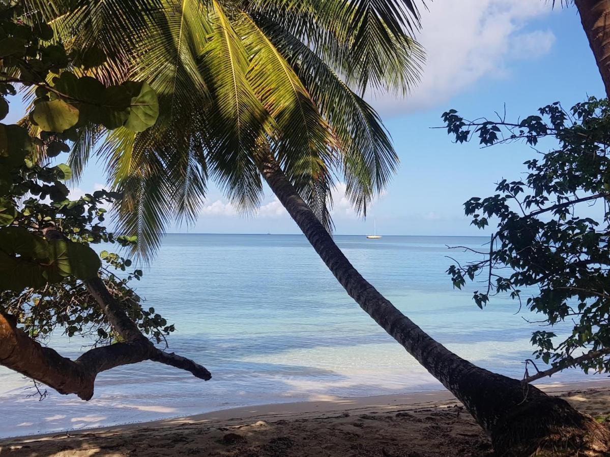Residence Kawann Plage & Piscine - Hamaca 102 Folle Anse Eksteriør billede
