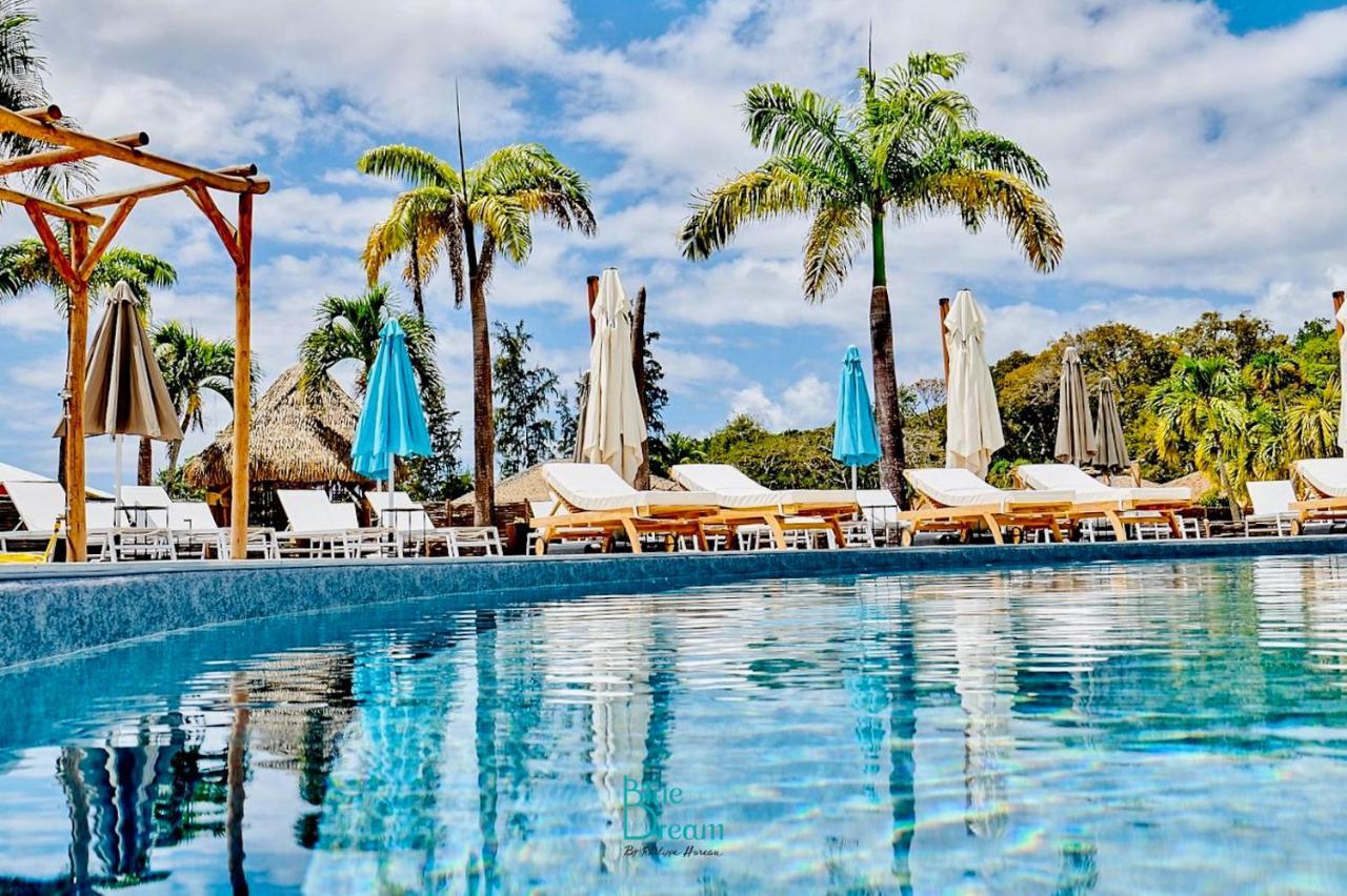 Residence Kawann Plage & Piscine - Hamaca 102 Folle Anse Eksteriør billede
